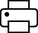 LV__print_icon